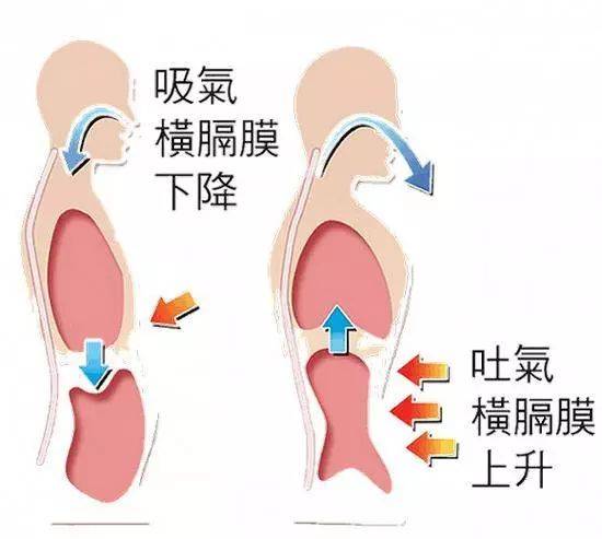 呼吸；呼吸??；肺氣腫；肺病；鍛煉