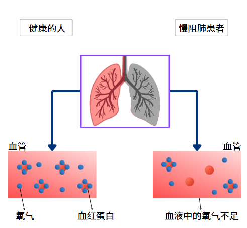 2fcac5d24799f545ee03a0c0727aeb48.png